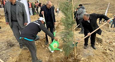 Ali Dağı Zirvesi 1.111 Fidanla Yeşillendi: Talas Belediyesi’nden Erozyonla Mücadele Hamlesi