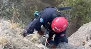 Kayseri İtfaiyesi Uçurumda Mahsur Kalan Keçiyi Hayat Kurtardı