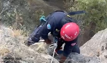 Kayseri İtfaiyesi Uçurumda Mahsur Kalan Keçiyi Hayat Kurtardı