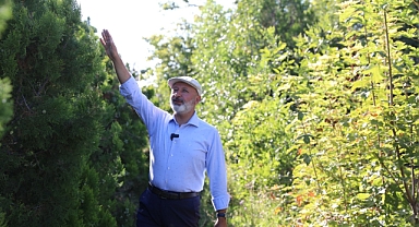 Kocasinan Yeşile Bürünüyor: 530 Park, 965 Bin Ağaç ve Kişi Başına 17,60 m² Yeşil Alan