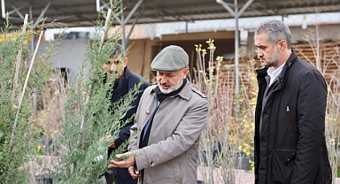 Kocasinan Yeşile Bürünüyor: Başkan Çolakbayrakdar’dan Yeni Ağaçlandırma Hamlesi