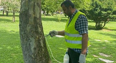Kayseri’de Yeşil Alanlarda Çevreci Mücadele: Ağaçlara Modern Dokunuş