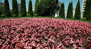 Talas 2026’da Rengârenk Olacak: Çiçek Festivali Tüm İlçeyi Sarmaya Hazırlanıyor