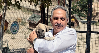 Talas’ta Merhametin Adresi: 500 Can İçin Doğal Yaşam Alanı