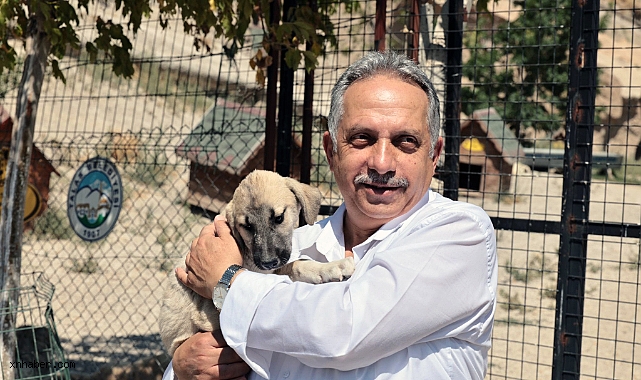 Talas’ta Merhametin Adresi: 500 Can İçin Doğal Yaşam Alanı