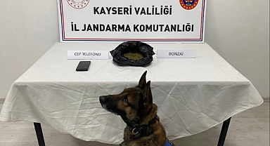 Kayseri Talas’ta Bonzai Operasyonu: 515 Gram Madde Ele Geçirildi