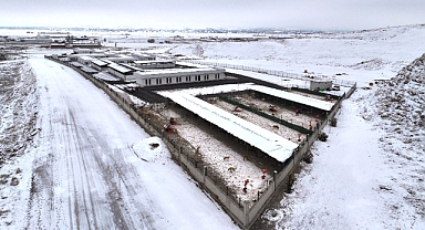 Kocasinan’dan Sokak Hayvanlarına Modern ve Sıcak Yaşam Alanı: Türkiye’ye Örnek Merkez Açıldı