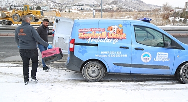 Sevimli Dost Ambulansı 2025’te 4 Bin 300 Canın Yardımına Yetişti