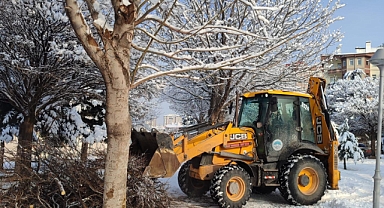 Kayseri Büyükşehir’den Kış Sonrası Ağaç Güvenliği Hamlesi: Şehir Genelinde Riskli Dallar Temizleniyor