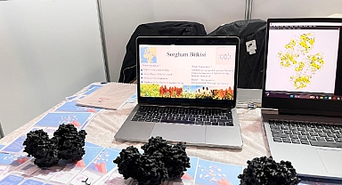 Sorgum Bitkisinden Kansere Yönelik İlaç Tasarımı: Lise Öğrencilerinden Dikkat Çeken Proje