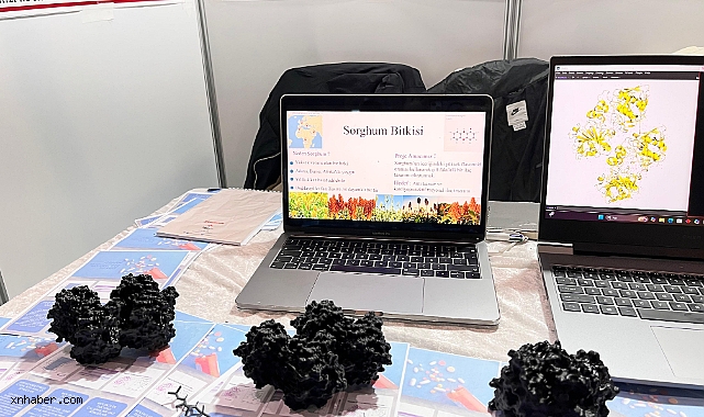 Sorgum Bitkisinden Kansere Yönelik İlaç Tasarımı: Lise Öğrencilerinden Dikkat Çeken Proje