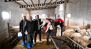 Talas’ta Küçükbaş Hayvancılığa Destek: İl Müdürlüğünden Üreticiye Sahada Bilgilendirme