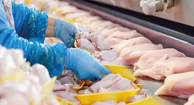 Tavuk İhracatı Durduruldu: Fiyat Artışlarına Karşı İç Piyasada Yeni Önlem