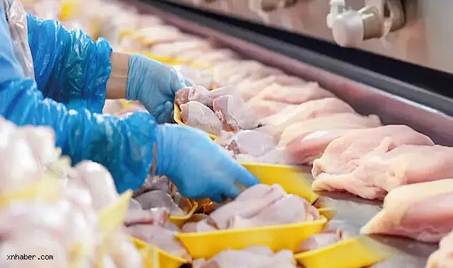 Tavuk İhracatı Durduruldu: Fiyat Artışlarına Karşı İç Piyasada Yeni Önlem