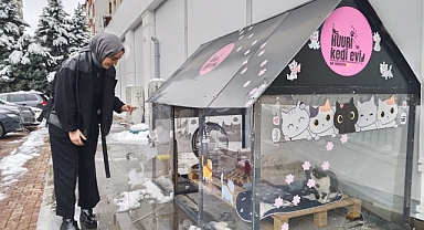 Kayseri’de Örnek Dayanışma: Soğuk Kış Günlerinde Sokak Kedilerine Isıtmalı Yuva
