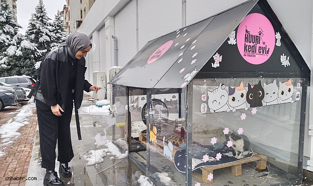 Kayseri’de Örnek Dayanışma: Soğuk Kış Günlerinde Sokak Kedilerine Isıtmalı Yuva