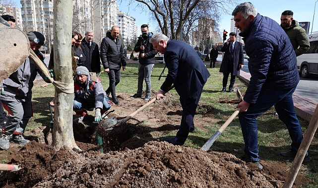Melikgazi'de İlkbahar Ağaç Dikimi Başladı: Binlerce Çınar Toprakla Buluşuyor