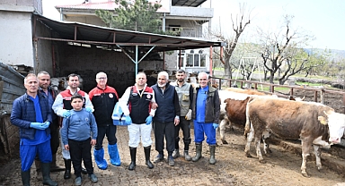 Kayseri’de Hayvan Sağlığı İçin Cumartesi Mesaisi: Hacılar’da Aşılama Seferberliği