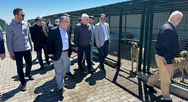 Kayseri’de Sokak Hayvanlarına Örnek Hizmet: Molu’daki Merkez Takdir Topladı