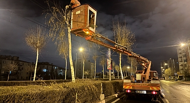 Kayseri’de Tramvay Hattında Gece Mesaisi: Güvenlik İçin Budama Çalışmaları Sürüyor