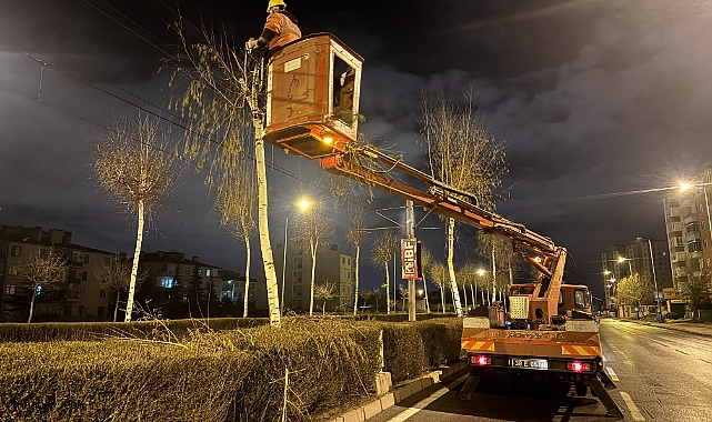 Kayseri’de Tramvay Hattında Gece Mesaisi: Güvenlik İçin Budama Çalışmaları Sürüyor