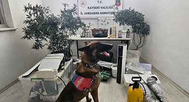 Kayseri’de Uyuşturucu Operasyonu: Evde Kenevir Yetiştiriciliği Ortaya Çıkarıldı