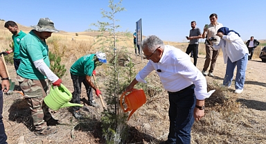 Kayseri’de Yeşil Dönüşüm: Son 7 Yılda 786 Bin Fidan Toprakla Buluştu