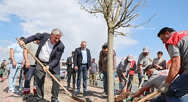 Melikgazi’de Büyük Ağaç Hamlesi: “Fidan Değil Ağaç Dikiyoruz”