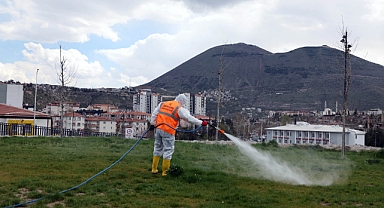 Talas’ta Haşereyle Mücadele Başladı: Yaz Öncesi Erken Önlem