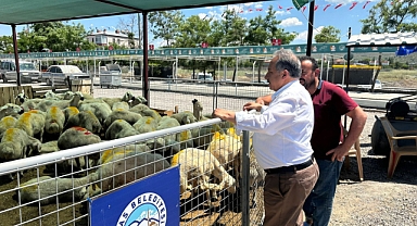 Talas’ta Kurban Pazarı Başvuruları Başlıyor: Tarihler ve Kesim Yerleri Açıklandı