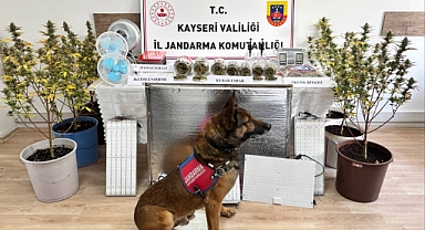 Kayseri Kocasinan’da Uyuşturucu Operasyonu: Evde Esrar, Skunk ve İklimlendirme Sistemi Ele Geçirildi