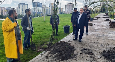 TALAS’TA BAHARIN RENGİ BAŞLIYOR: ÇİÇEK ŞENLİĞİ İÇİN GERİ SAYIM
