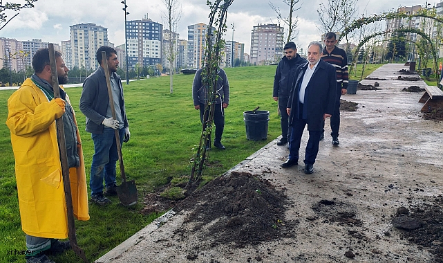 TALAS’TA BAHARIN RENGİ BAŞLIYOR: ÇİÇEK ŞENLİĞİ İÇİN GERİ SAYIM