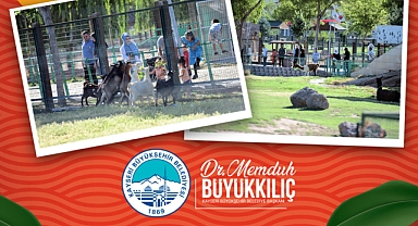 KAYSERİ’DE BAYRAM REKORU: HAYVANAT BAHÇESİNE 65 BİN ZİYARETÇİ AKINI!