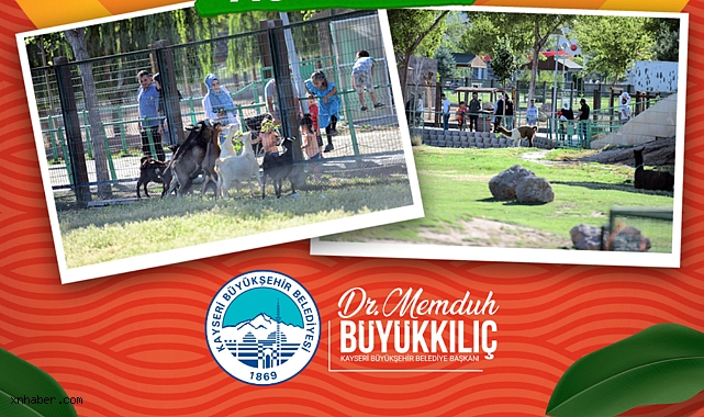 KAYSERİ’DE BAYRAM REKORU: HAYVANAT BAHÇESİNE 65 BİN ZİYARETÇİ AKINI!